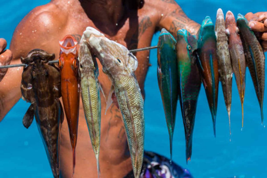 A Fish Necklace is