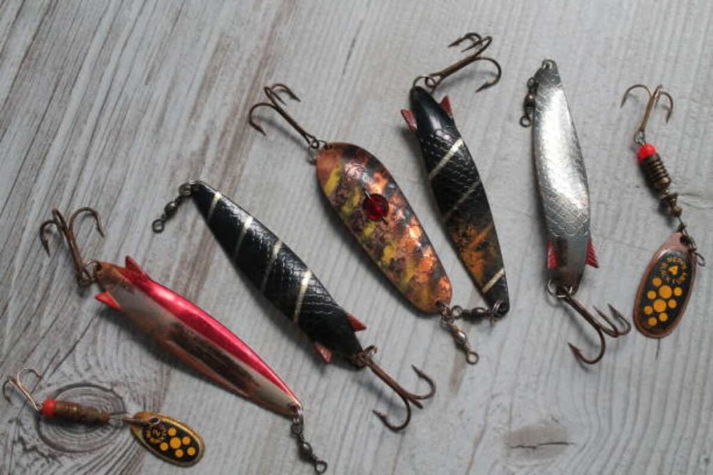 Fish Hook Earrings