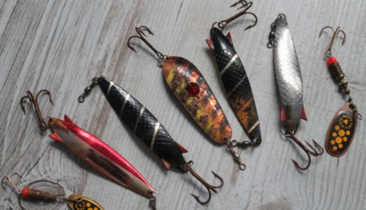 Fish Hook Earrings