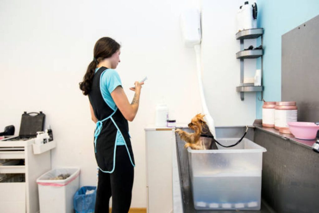 How to Start a Remote Cleaning Business