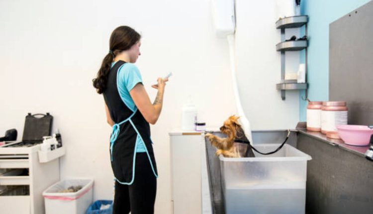 How to Start a Remote Cleaning Business