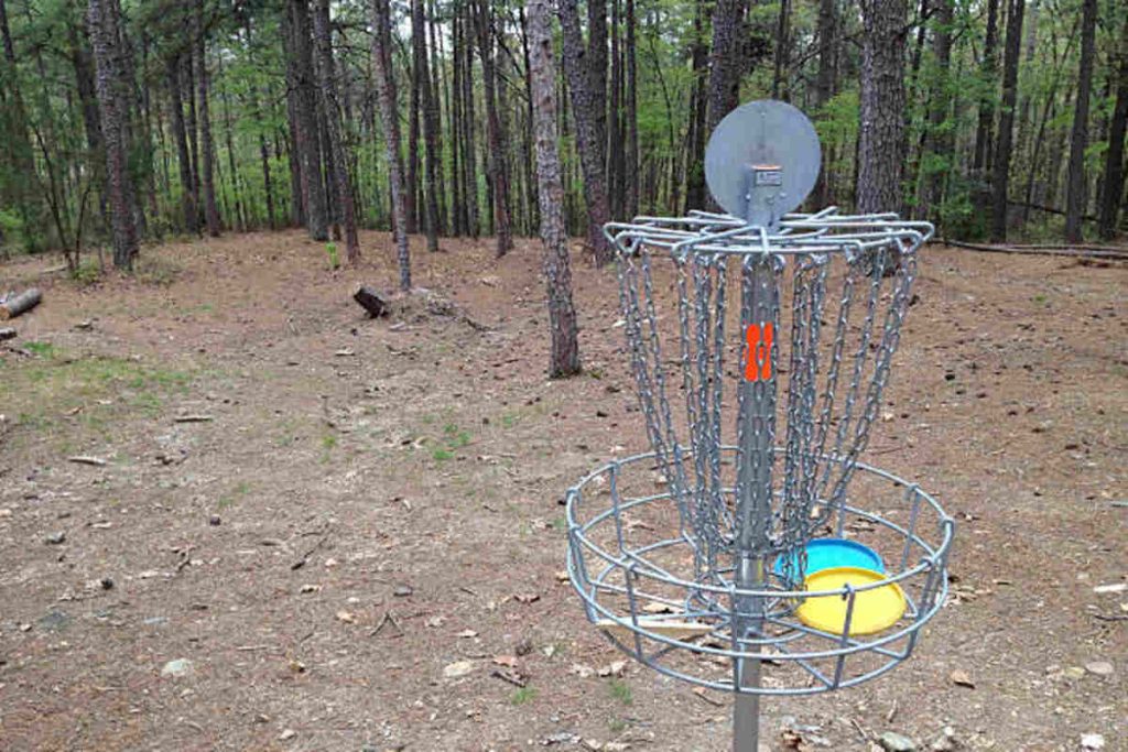 Giant Roam Disc is Ready For All Types of Terrain
