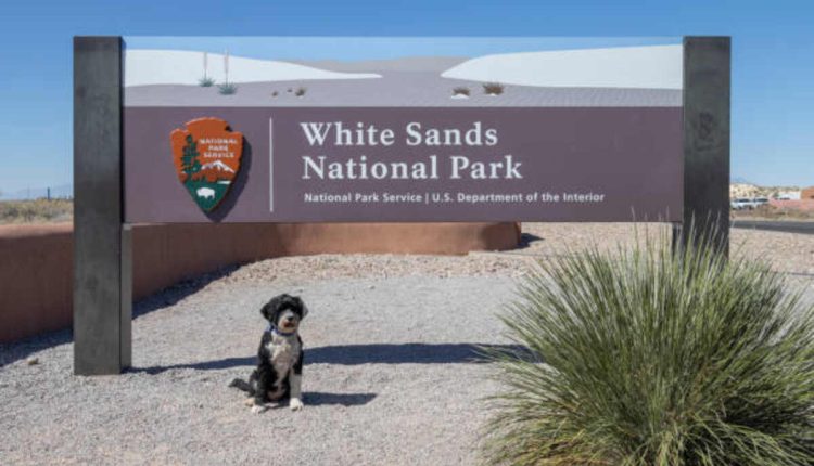 Vive Chihuahua Tour 2023