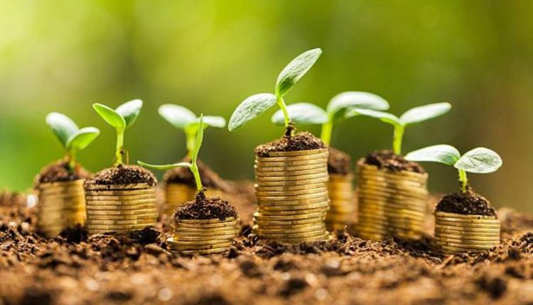 usda financing requirements