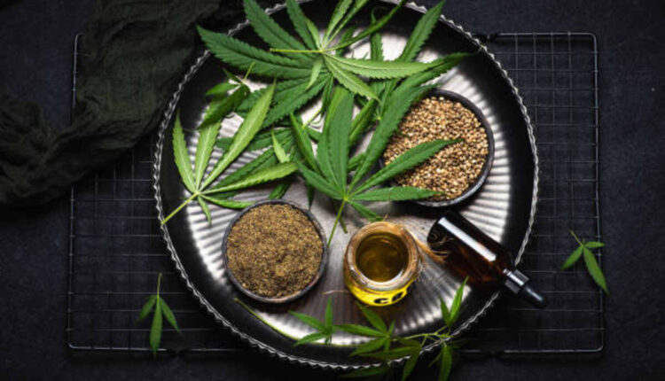 Going through the Features of Yocan Orbit