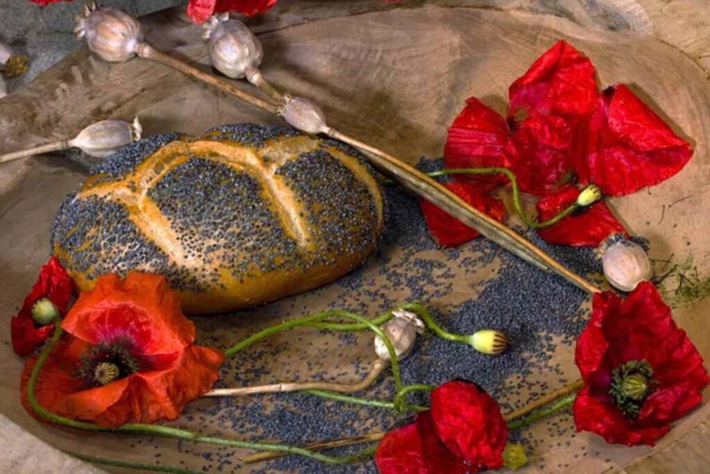 Dried Poppy Pods Crafting and Decor Ideas
