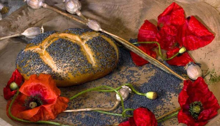 Dried Poppy Pods Crafting and Decor Ideas