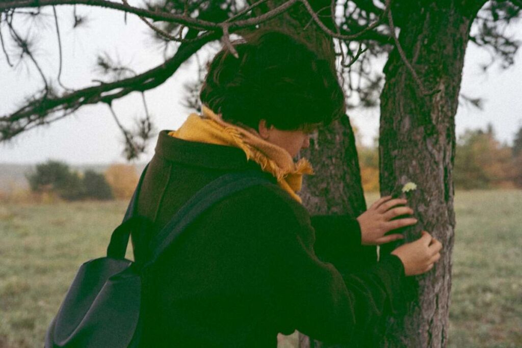 trusted local tree care experts 3